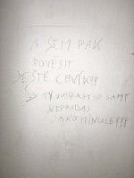 http://www.dyntera.com/files/gimgs/th-139_IMG_9667 kopie.jpg